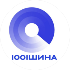 1001 Шина (ООО ВЕЙ)